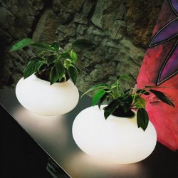 Настольная лампа Azzardo AZ0185 Flora