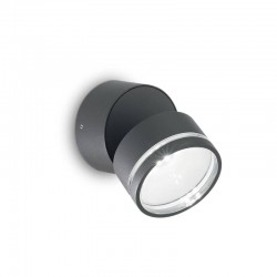 Накладной светильник Ideal Lux 247076 Omega AP Round Antracite 3000K