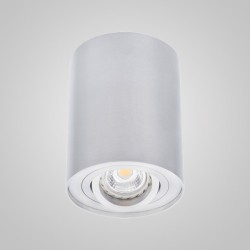 Накладной светильник KANLUX DLP-50-AL 22550 Bord