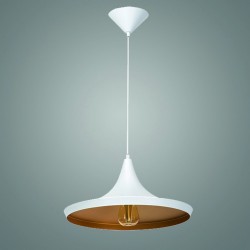 Подвесной светильник Kanlux 24300 AVINI W/G