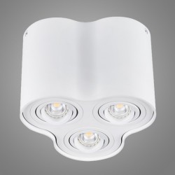 Накладной светильник Kanlux 25800 BORD DLP-350-W