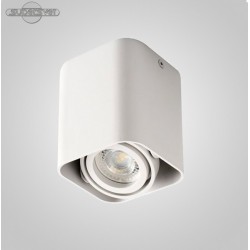 Накладной светильник Kanlux 26114 Toleo DTL50-W
