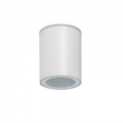 Потолочный светильник Kanlux 33360 AQILO IP 65 DSO-W