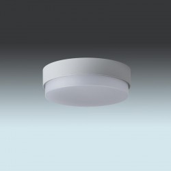 Промышленный светильник Osmont 50087 TRITON 1
