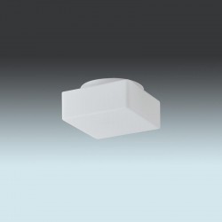 Потолочный светильник Osmont 51881 LINA 1 LED