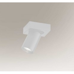 Потолочный светильник Shilo 7971 Tarumi