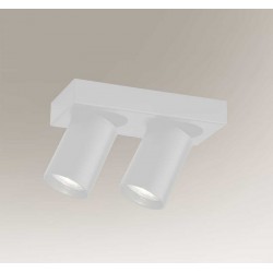 Потолочный светильник Shilo 7973 Tarumi