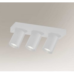 Потолочный светильник Shilo 7975 Tarumi