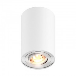 Накладной светильник Zumaline 45519-N (white) RONDOO