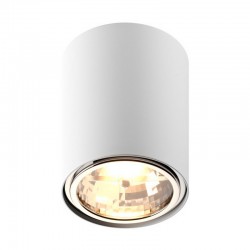 Накладной светильник Zumaline 50631 (white) BOX